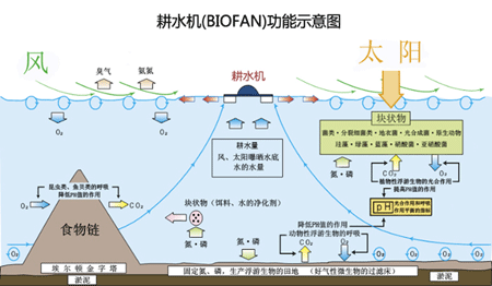 แผนภาพที่อธิบายหลักการทำงานของ เครื่องไถน้ำ