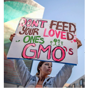 ชูป้ายต่อต้านผลิตผล GMO